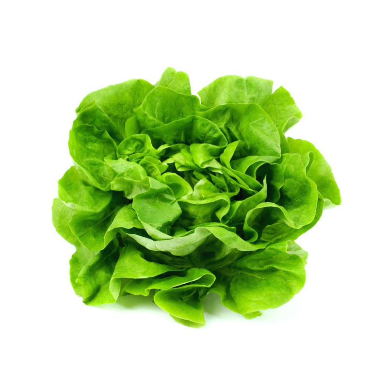 Salata verde